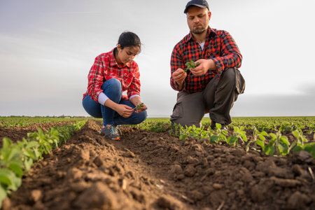 Young farmers examing planted young soy in spring