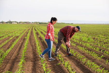 Young farmers examing planted young soy in springの写真素材