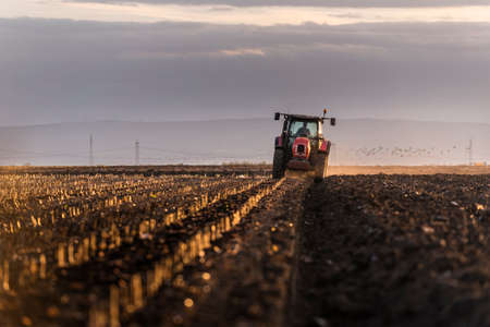 tractor plows the field in the evening at sunset.の写真素材