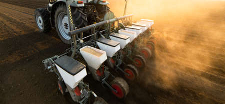 Farmer with tractor seeding - sowing crops at agricultural field. Plants, wheat.