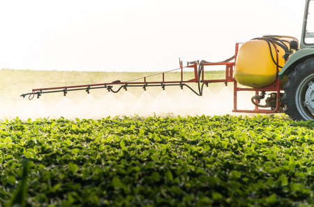 Tractor spraying pesticides on soy field  with sprayer at spring