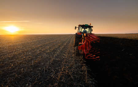 tractor plows the field in the evening at sunset.