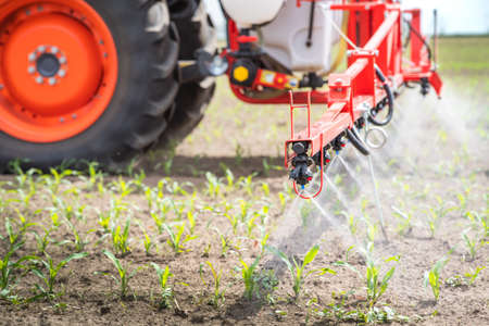 Tractor spraying pesticides on corn field  with sprayer at springの写真素材