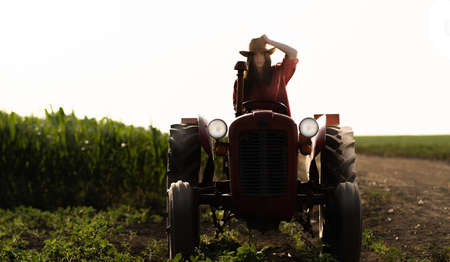Female farmer driving a tractor in fieldの写真素材