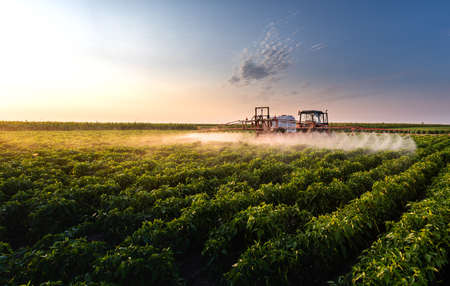 Tractor spraying pesticides on vegetable field  with sprayer at spring