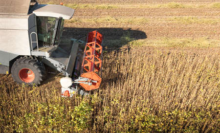 A combine harvesting soybeans at sunsetの写真素材