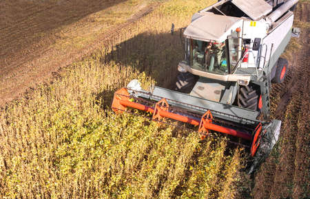 A combine harvesting soybeans at sunset
