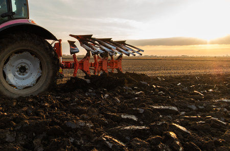 tractor plows the field in the evening at sunset.