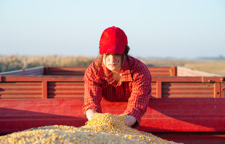 Girl farmer watches a grain corn during the harvestの写真素材