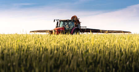 Tractor spraying pesticides over a green fieldの写真素材