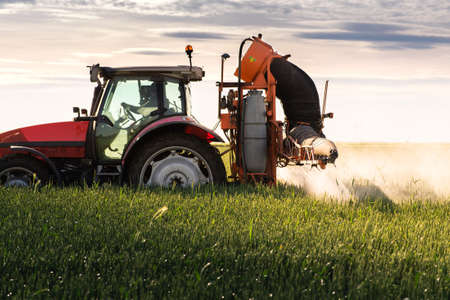 Tractor spraying pesticides over a green fieldの写真素材