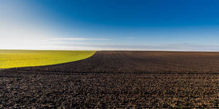 Beautiful morning landscape of sunrise over young green cereal fieldの写真素材