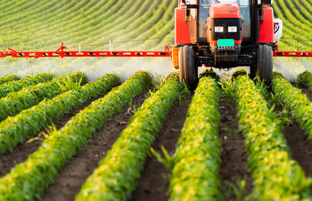 Tractor spraying pesticides on soybean field  with sprayer at springの写真素材