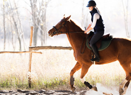Young pretty girl riding a horseの写真素材