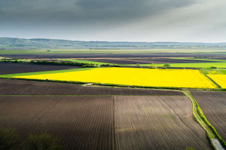 Rapeseed field near striped ploughed field at springtime aerial drone view.の写真素材