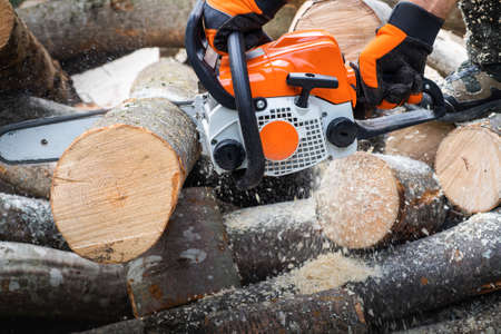 worker cuts firewood with a chainsawの写真素材
