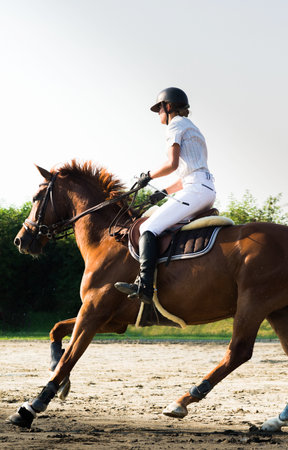 Beautiful young female jockey on a horse outdoors.