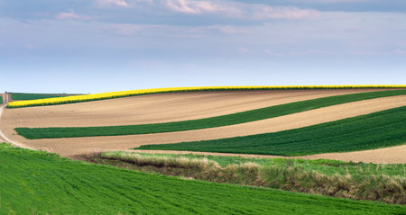 Agricultural land ready for spring, panoramic viewの写真素材