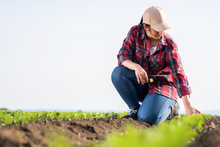 Farmer examining corn plant in field. Agricultural activity at cultivated land.の写真素材
