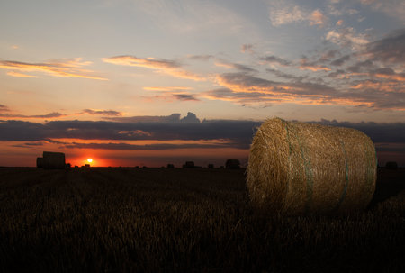 Stubble field with hay bales under  summer skyの写真素材