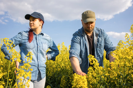 Two farm workers examining crops in blooming rapeseed field
