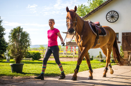 A happy jockey leads a horse for a ride from the stableの写真素材
