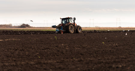 tractor plows the field in the evening at sunset.