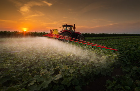 Tractor spraying pesticides on vegetable field  with sprayer at springの写真素材