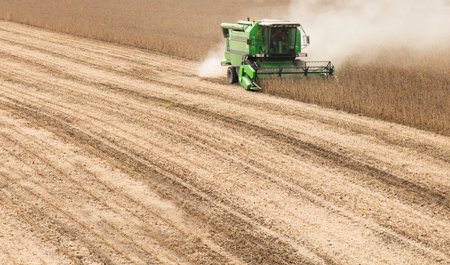 A combine harvesting soybeans at sunset