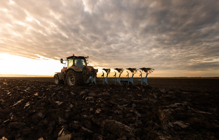tractor plows the field in the evening at sunset.