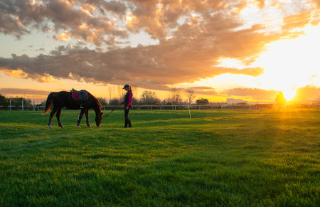 young girl and horse in a field as the sun sets behind them.の写真素材