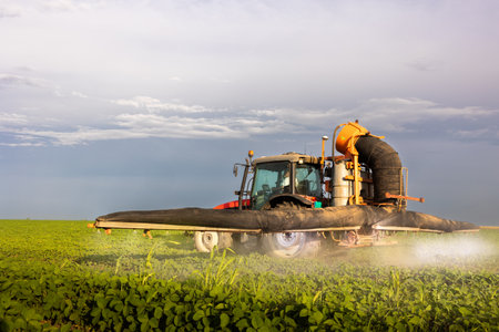 Tractor spraying pesticides on soybean field  with sprayer at spring
