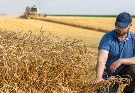 Young farmer standing  on field wheat, combine harvester in backgroundの写真素材