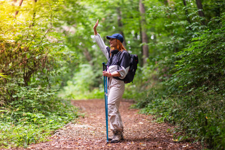Forest hike trail hiker woman walking in autumn fall nature background in fall season. Hiking active...