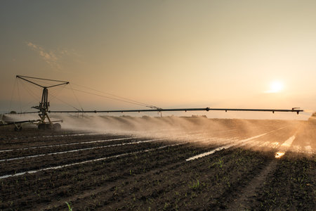 Agricultural irrigation system watering corn field on sunny spring day.の写真素材
