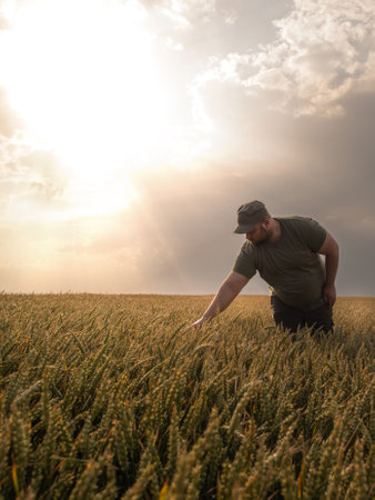 Farmer in wheat fields. Growth, outdoor.の写真素材
