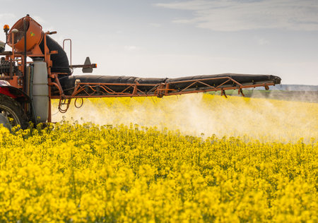 Tractor machine used in agriculture spraying insecticide canola field