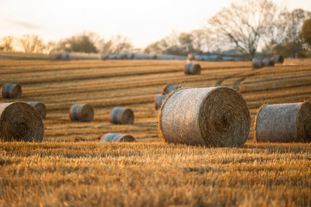 Sunset over the field. Beautiful sunset over a field with bales of hay.