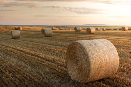 Sunset over the field. Beautiful sunset over a field with bales of hay.