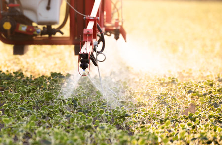 The tractor spraying soy at sunset in a lush green field.の写真素材