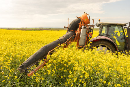 Tractor machine used in agriculture spraying insecticide canola fieldの写真素材