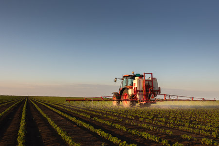 The tractor spraying soy at sunset in a lush green field.の写真素材