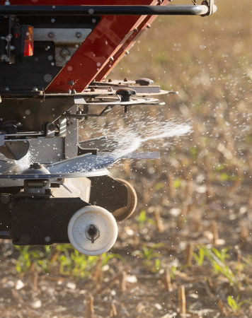 Tractor spreading artificial fertilizers. Transport, agricultural.