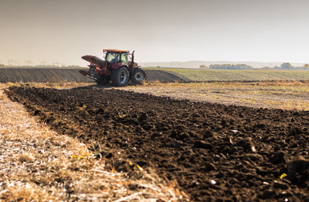 Tractor on the field during sunset. Tractor plows the field in the evening at sunsetの写真素材
