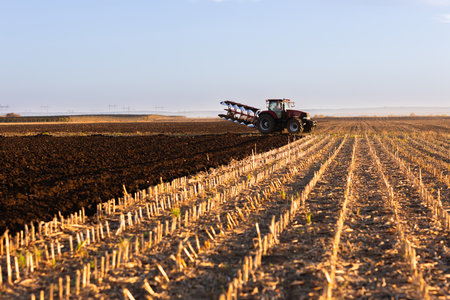 Tractor on the field during sunset. Tractor plows the field in the evening at sunset
