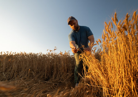 Young farmer looking with satisfaction at his cultivated field with a bunch of ripe wheatの写真素材