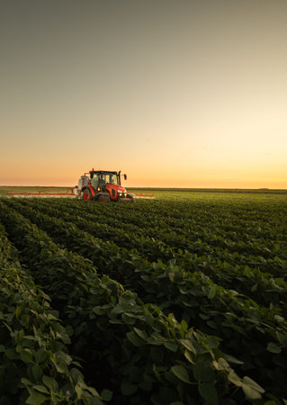 Agricultural tractor spraying soybean field during golden sunset. Modern farming machinery working on crop protection and sustainable food production in rural landscape.