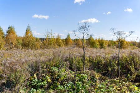 Country landscape in warm and sunny autumn dayの写真素材