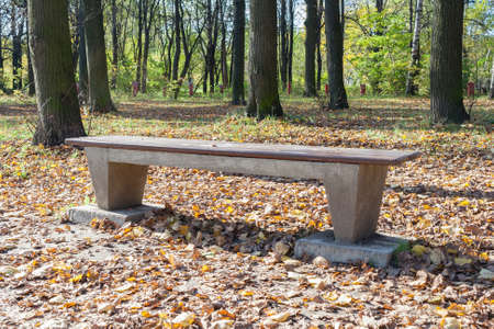Bench in the city park in sunny autumn dayの写真素材