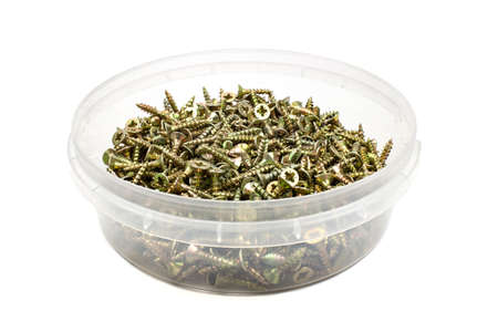 Screws for the assembly of furniture in storage boxの写真素材